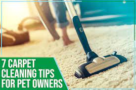 7 carpet cleaning tips for pet owners
