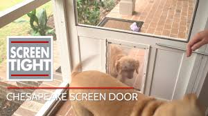 Cats are friendly, cute, and funny, but their love of climbing and need to sharpen their claws means they can wreak havoc on window and door screens. Screen Doors Solid Vinyl Wood And Pressure Treated Wood Doors