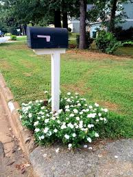 The Perfect Flowers For Your Mailbox