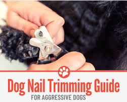 aggressive dog nail t guide