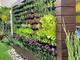 Vertical Garden Irrigation System