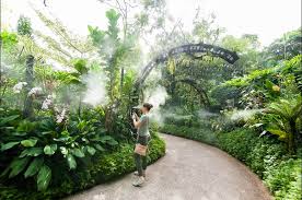 national orchid garden singapore all