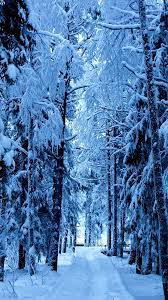Frozen Forest Iphone Wallpaper