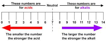 Acids Alkalis And Neutral Substances S Cool The Revision
