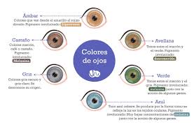 por qué los ojos tienen color
