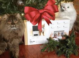 Maybe you would like to learn more about one of these? 8 Steps To Cat Proof And Dog Proof Your Christmas Tree