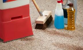 austin carpet cleaning deals in and