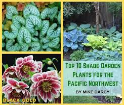 Top 10 Shade Garden Plants For The