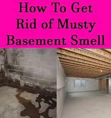 Basement Odor Musty Smell In House