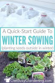 winter sowing seeds a quick start