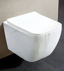 Toilet Basin Design Toilet In
