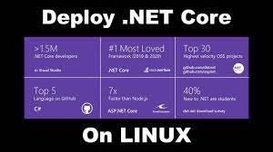 how to deploy asp net core 5 6 on linux
