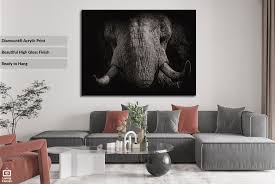 Tusker Elephant Portrait