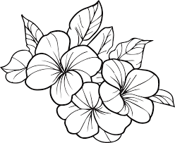 cute flower coloring pages primrose