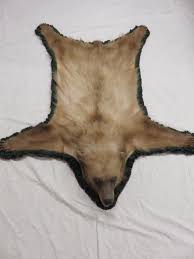 cinnamon black bear taxidermy rug bb