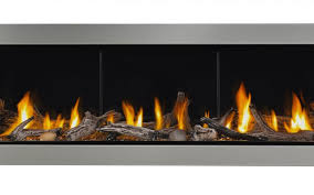Napoleon Gas Fireplaces And Stoves