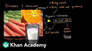 Introduction To Vitamins And Minerals