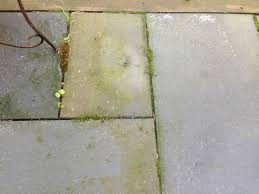Cleaning Mildew Off Flagstone Patio