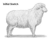 how-do-you-draw-sheep-wool
