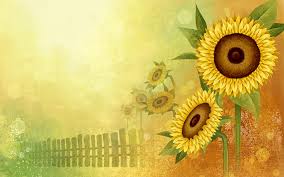 547310 sunflower background wallpaper