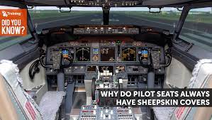 Pilot Seats Have Sheepskin Covers