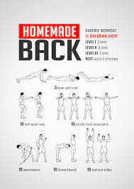 homemade back workout