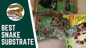 best snake substrate you