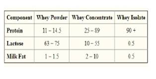what is whey protein explained in easy