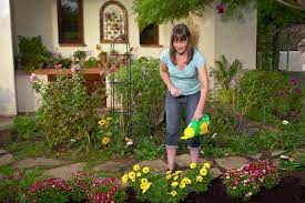miracle gro fertilizer gardening review