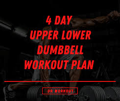4 day dumbbell workout plan with pdf