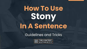 stony in a sentence guidelines