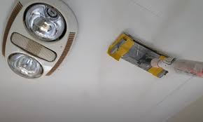 Remove Mold From Bathroom Ceiling