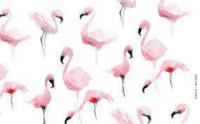 Flamingo Laptop Wallpapers - Top Free ...