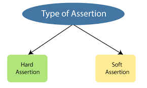 Selenium Assertion - Tutorial And Example