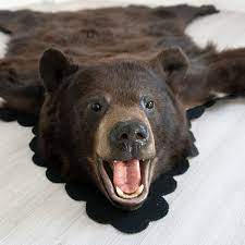 5 feet 2 inches brown bear rug