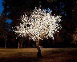 Warm White Blossom Light Up Trees Made