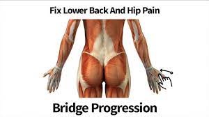These muscles, including the gluteus maximus and the hamstrings, extend the thigh at the hip in support of the body's weight and propulsion. Fix Lower Back And Hip Pain Bridge Progression Youtube