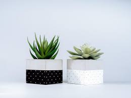 diy painted concrete planters isolated