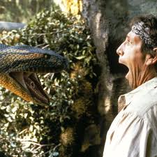 It is the heaviest snake in the world and can weight up to 551 pounds and grow as long as 23 feet. The 14 Best Snake Movie Moments Ever