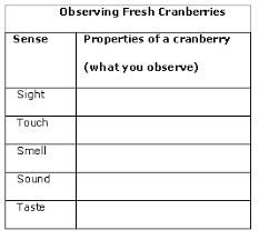 Making Sense Of Cranberries Preparation