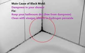 How To Remove Mold From Shower Caulking