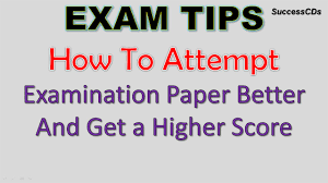 Tips for Finals Studying and Writing In Class Essays   HubPages    End of Quarter Plan    In Class exam  Essay       