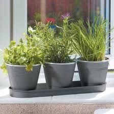windowsill herb pots smart garden