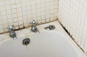 4 Tips On How To Prevent Bathroom Mould