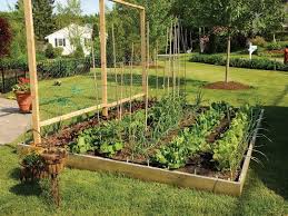 32 Raised Bed Vegetable Garden Layout