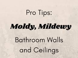 tips for painting moldy bathroom walls