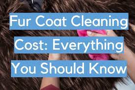 Fur Coat Cleaning Cost Everything You