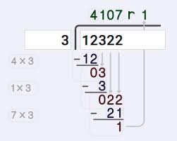 Visual Long Division Calculator With Work And Remainders