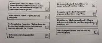 Direkt zum inhalt springen (alt 1) direkt zur sekundärnavigation springen (alt 3) direkt zur hauptnavigation springen (alt 2). Kann Mir Das Jemand Kontrollieren Biologie Immunsystem Arbeitsblatt Immunabwehr