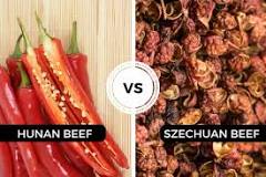 Which is hotter Szechuan beef or Hunan beef?